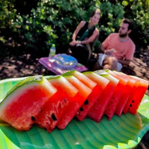 Cibo presso l'affittacamere o nelle vicinanze