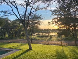 a tree in the middle of a grassy field at Farm stay in the heart of the Kalahari Namibia- serviced luxury self catering accommodation in Gobabis