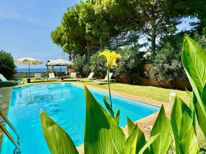 สระว่ายน้ำที่อยู่ใกล้ ๆ หรือใน Beachfront Villa Rania with private pool by DadoVillas