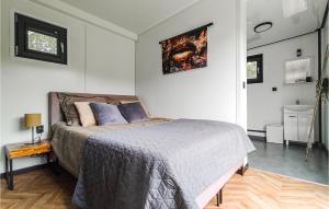 Katil atau katil-katil dalam bilik di 1 Bedroom Stunning Home In Heinkenszand