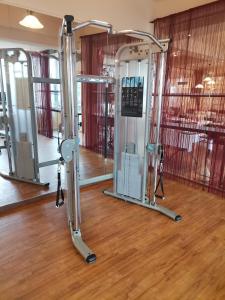 Posilňovňa alebo fitness centrum v ubytovaní Hotel Al Faro Lodge am See
