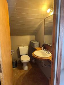 a small bathroom with a toilet and a sink at Departamento Céntrico San Martin de los Andes in San Martín de los Andes