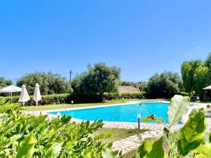 a swimming pool in a resort with umbrellas and trees at Barbati Alpha MiniVilla by DadoVillas in Barbati