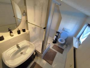 魏登Charmantes 2 BR Apartment mit Parkplatz的带水槽、淋浴和马桶的浴室