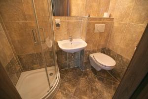 ストロニエ・シロンスキエにあるPensjonat Lew Jaskiniowyのバスルーム(洗面台、トイレ、シャワー付)