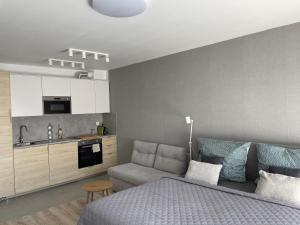 a bedroom with a bed and a couch and a kitchen at River Living Apartman in Budapest