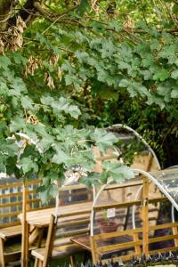 a wooden bench and a table under a tree at The Old Bell in Wooburn