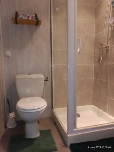 ein Badezimmer mit Toilette und Dusche in der Unterkunft charmante maisonnette au calme in Montélimar + 11 Fotos