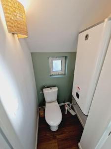 a small bathroom with a toilet and a window at Cosy Studio tout confort in Aulnoye-Aymeries