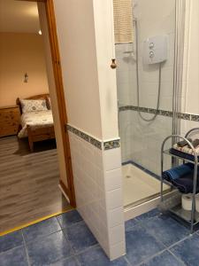 a bathroom with a shower in a room with a bed at Beech Lodge, Ballindrum R14RX60 in Athy +5 photos