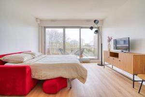 TV a/nebo společenská místnost v ubytování Appartement Luxueux Cosy - Paris Expo