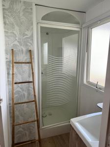 a glass shower in a bathroom with a ladder at les bungalows de Lisa Maria in SERRA DI FIUMORBO +42 photos