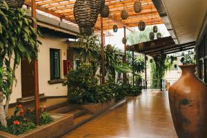 Zahrada ubytování Hotel Posada Virreyes