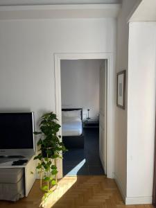 a living room with a television and a plant in it at Fleming hill apartments - Free Private Parking & Garden in Rome