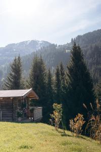 Příroda nedaleko bed and breakfast