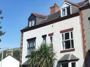 a white house with a palm tree in front of it at 2 Bodwen Villas in Llangollen