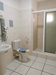 a bathroom with a toilet and a shower at Le Dattier in Flic-en-Flac