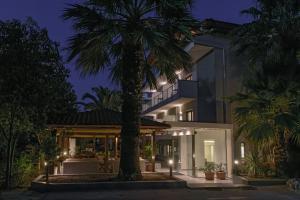 palma przed domem w nocy w obiekcie Gkeea Boutique Hotel w mieście Ierissós