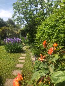 托农莱班La Causeuse的种有五颜六色花卉和植物的花园