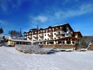 オルティゼーイにあるHotel Pineiの雪の大きな建物