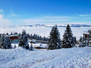 a snow covered mountain with trees and a lodge at Studio cabine à Chamrousse avec balcon, pour 4 pers, cuisine équipée - FR-1-340-284 in Chamrousse +7 photos
