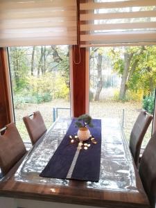 a table with a plant sitting on top of it at Schwandt-ein Bungalow mit Wasserblick, Ruderboot auf Anfrage in Rosenow +21 photos