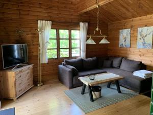 a living room with a couch and a tv at Ferienhaus Schnuckenheide 13 in Winsen