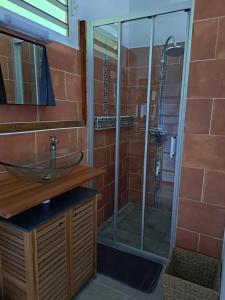 un bagno con doccia in vetro e lavandino di Bungalow cosy avec jardin au Gosier, 40 m² a Le Gosier