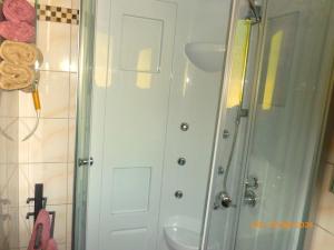 a shower with a glass door next to a sink at Schwandt-ein Bungalow mit Wasserblick, Ruderboot auf Anfrage in Rosenow