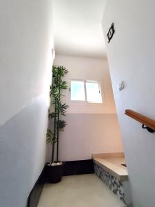 Fotografie z fotogalerie ubytování Apartamento Estudio Terraza Privada v destinaci Almuñécar