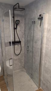 a shower in a bathroom with a glass shower stall at Apartment Bäckerhaus in Bayreuth +10 photos