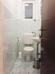 a bathroom with a toilet and a sink at Apartman Ivka A1 in Petrcane