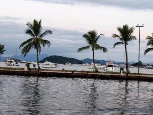 um corpo de água com palmeiras e barcos em Apartamento Vip no Frade em Angra dos Reis mais 16 fotografias