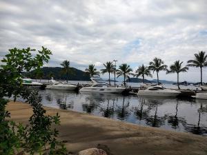 um grupo de barcos ancorados num porto com palmeiras em Apartamento Vip no Frade em Angra dos Reis