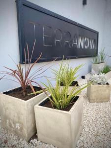three potted plants in pots in front of a sign at Monoambiente a estrenar ubicado en el centro de la Falda in La Falda