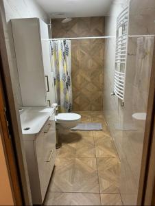a bathroom with a sink and a toilet and a shower at Dawna Mleczarnia Apartamenty SOSNOWY in Nowa Ruda +17 photos