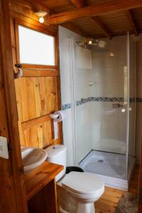 a bathroom with a shower and a toilet and a sink at Villa del lago Glamping in Tota