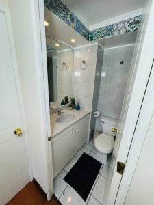 a bathroom with a toilet and a sink and a mirror at Dpto, Bar y con Estacionamiento in Santiago