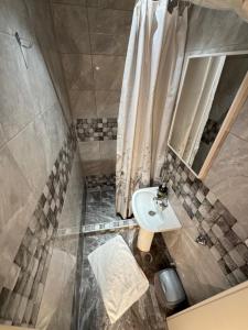 a bathroom with a sink and a shower at Bed & Coffee LUKAS Krusevac in Kruševac +37 photos