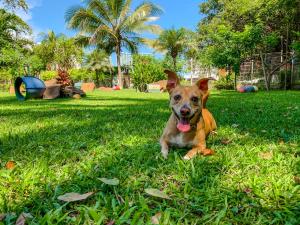 Domácí mazlíčci ubytovaní s hosty v ubytování Puerto de Luna Pet Friendly and Family Suites