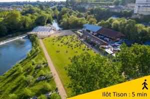 an aerial view of a herd of cows on a field next to a river at Le Girouard - City Center - Private Parking - WIFI, NETFLIX in Poitiers