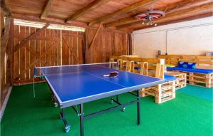 TounjにあるBeautiful Home In Tounj With Wifiの部屋の中の卓球台