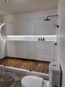 La salle de bains est pourvue de toilettes et d'une cabine de douche en verre. dans l'établissement Villa Malaquita, à San Miguel de Allende