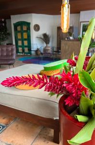 Fotografie z fotogalerie ubytování Hotel Casa Paradiso Guarujá v destinaci Guarujá