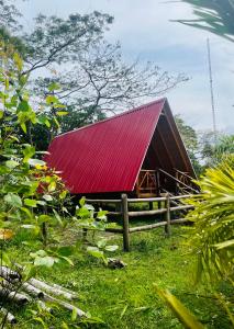 a barn with a red roof in the grass at Finca Ecoturistica Piedra Alta in Puerto Arturo