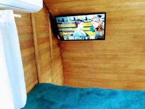 a bedroom with a tv in a wooden wall at Sitio casa di vó in Rio Forcação
