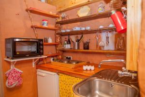 a tiny kitchen with a sink and a microwave at Arzipreste IV La Casita del Jardín in León