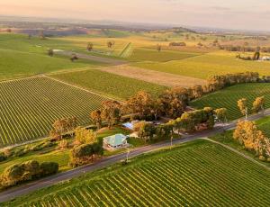 an aerial view of a road through a vineyard at Norm's Vineyard Retreat in Lyndoch