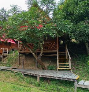 a staircase leading to a house with a tree at Eware Refugio Amazonico in Puerto Nariño