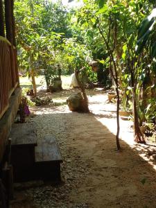 a bench sitting in the middle of a garden at The Cinnamon Farm Wooden Cabana Unawatuna in Unawatuna +8 photos